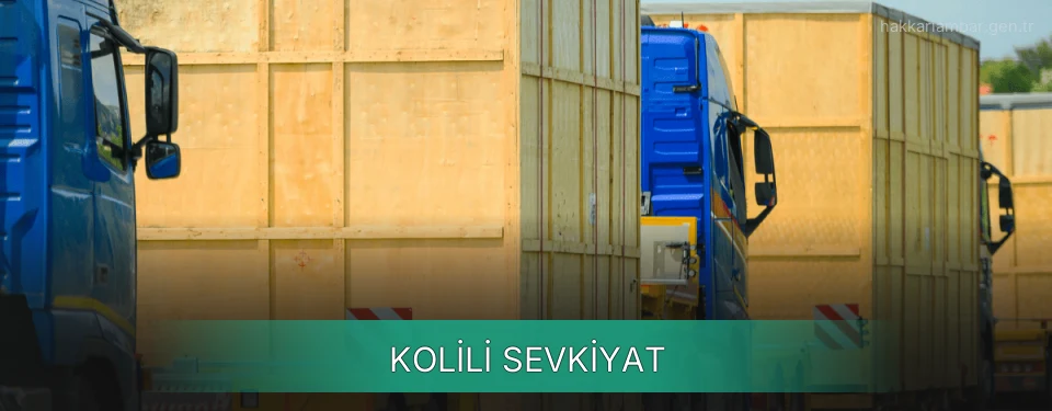 Hakkari Kolili Sevkiyat Ambar Firmaları